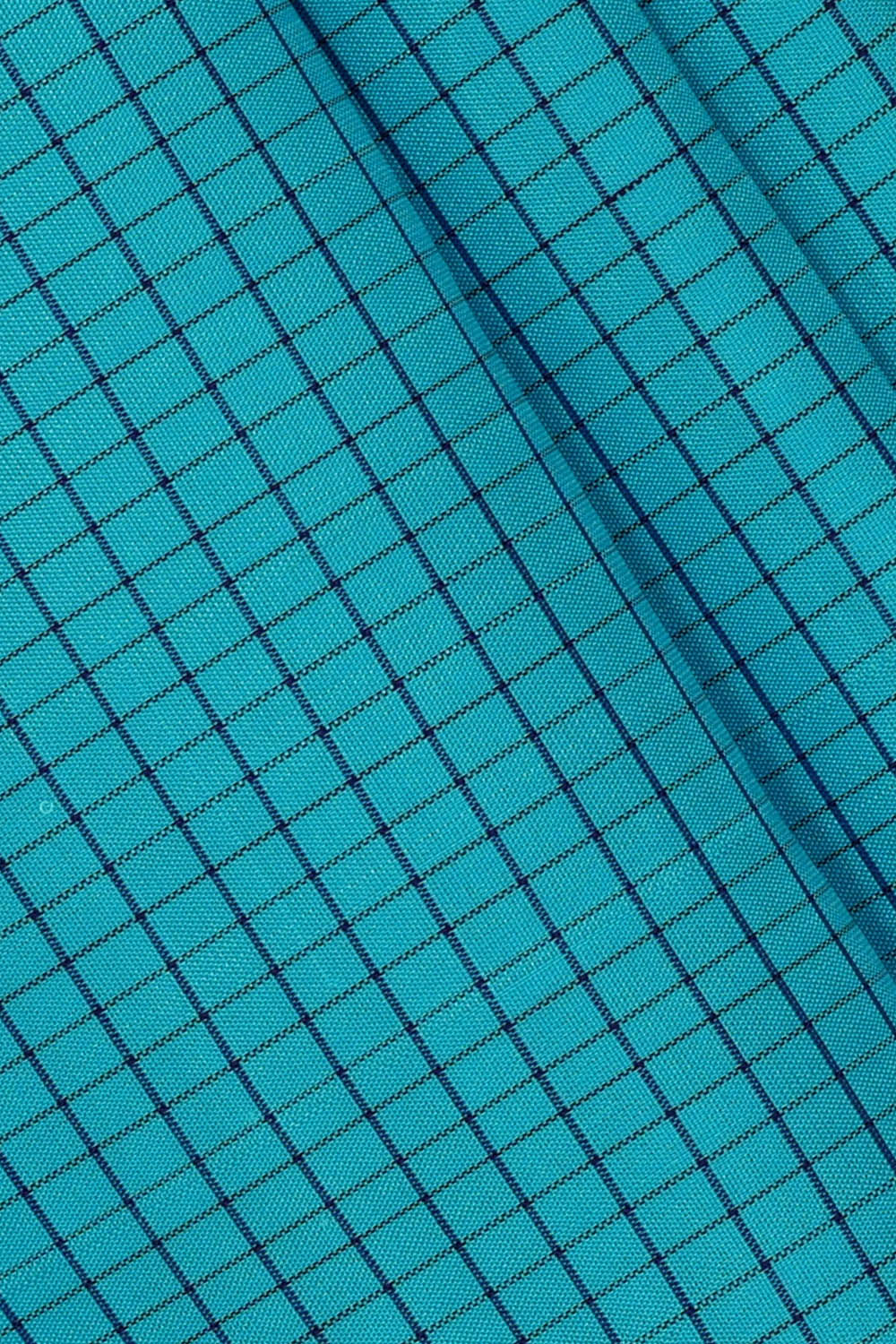 Image of Arani Silk Blue Saree