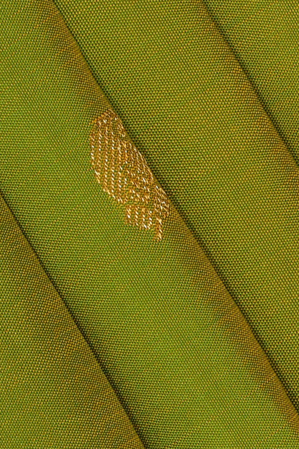 Image of Arani Silk Green Saree