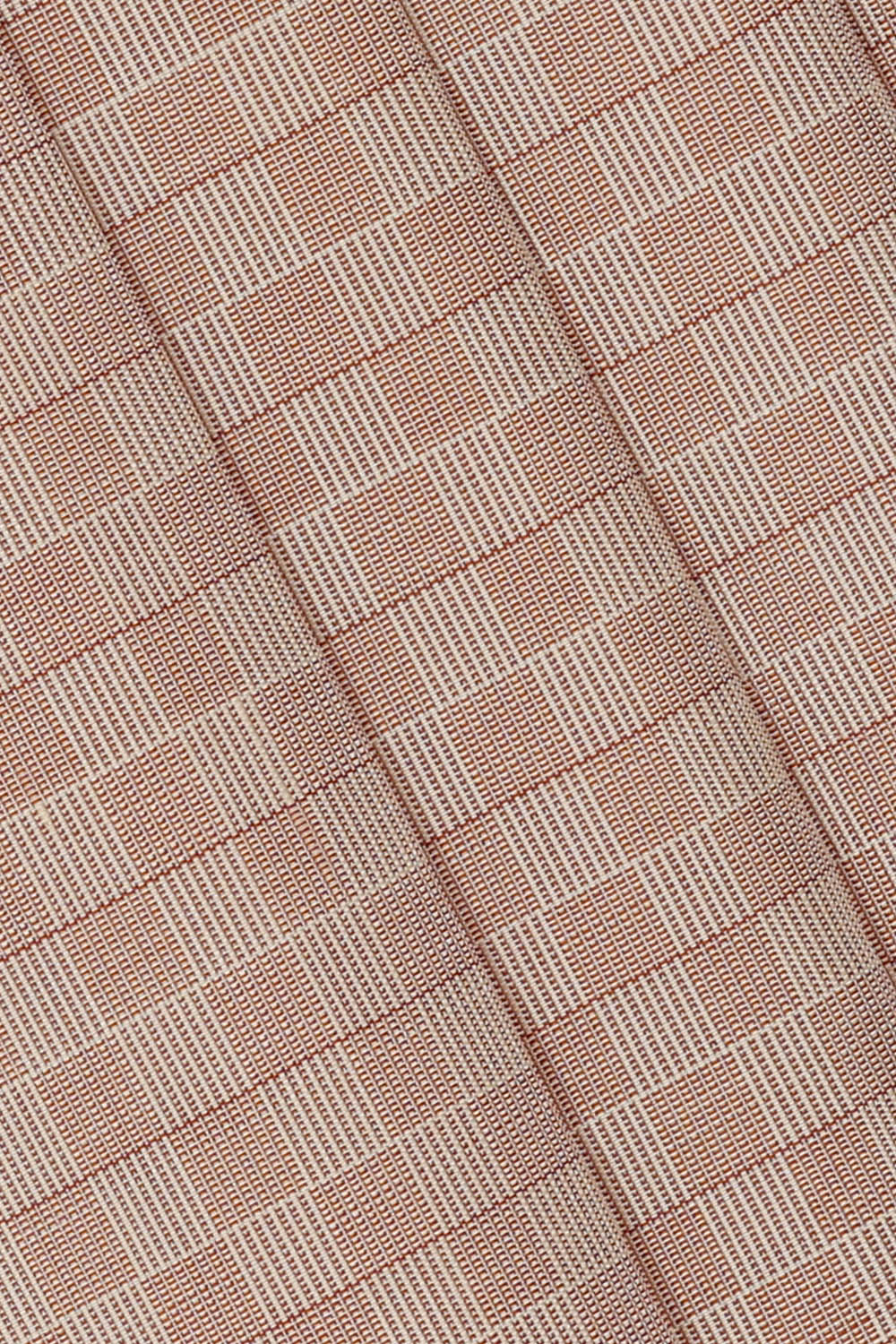 Image of Arani Silk Ivory Beige Saree