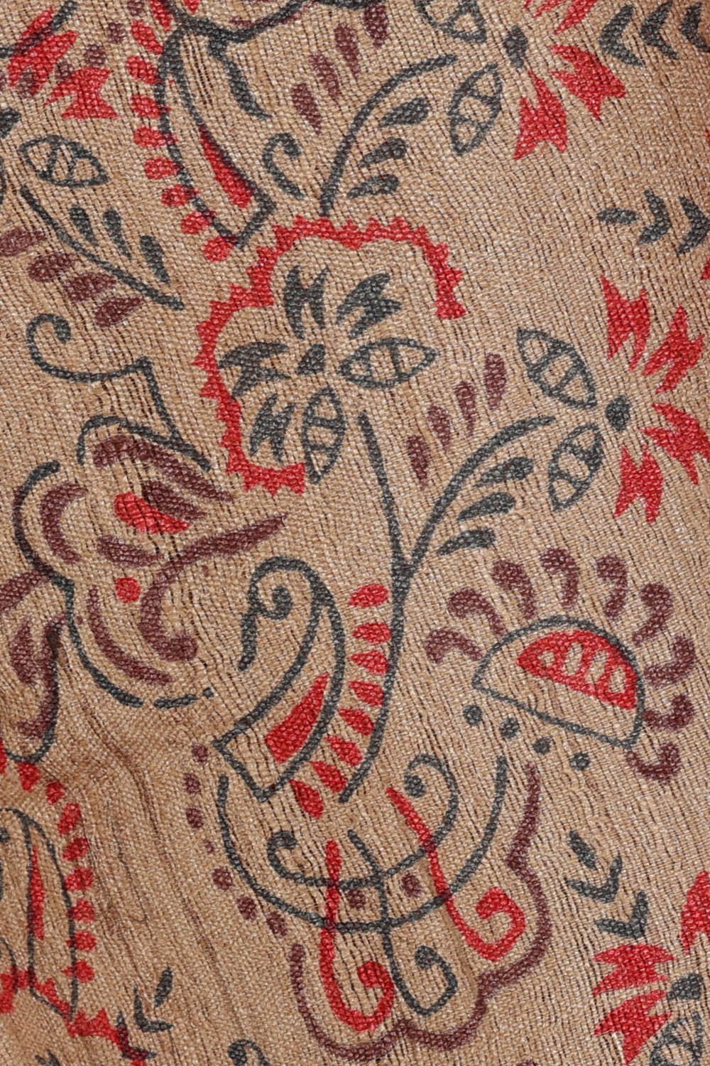 Image of Tussar Silk Beige Saree