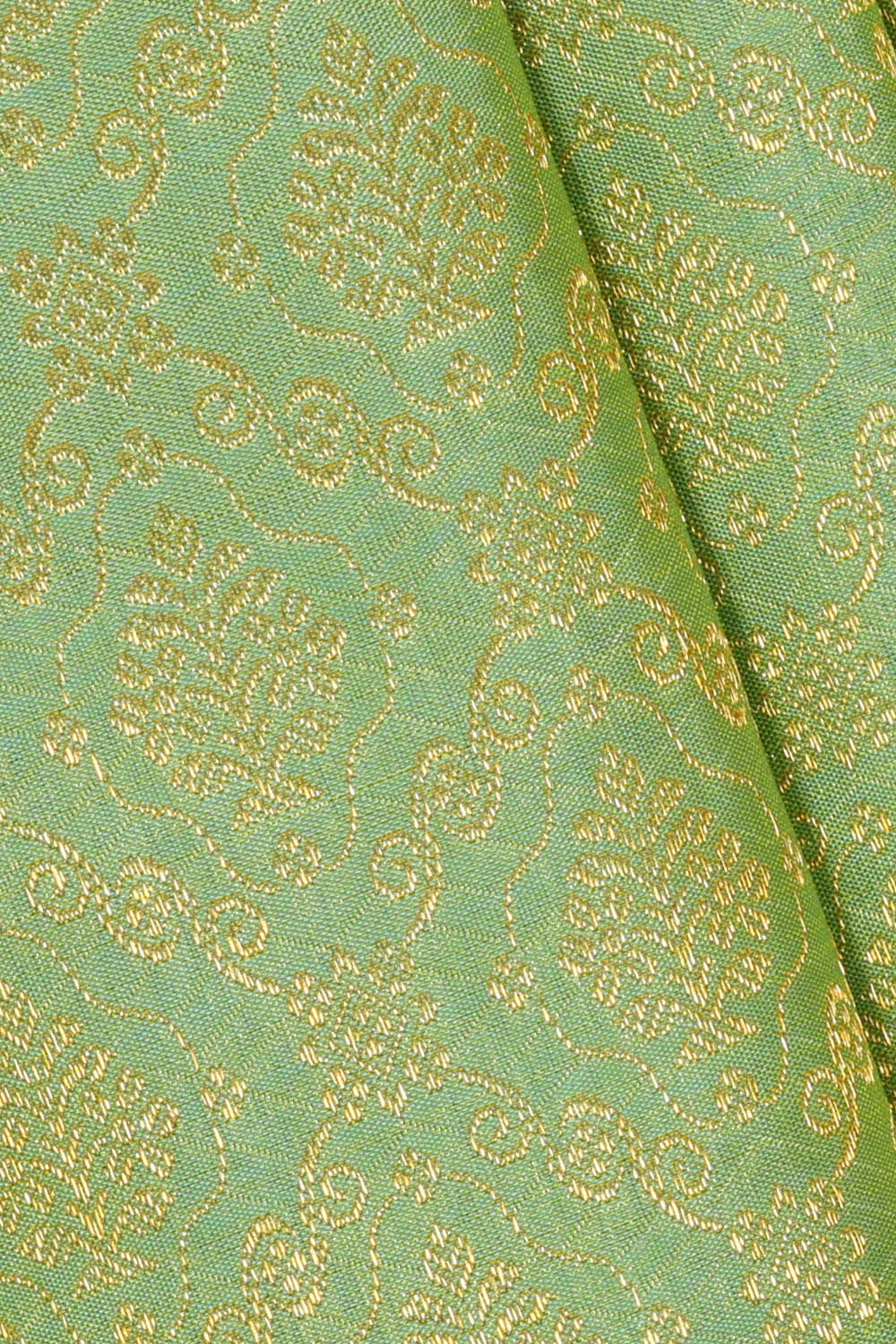 Image of Kanchipattu Mint-Green Brocade Saree