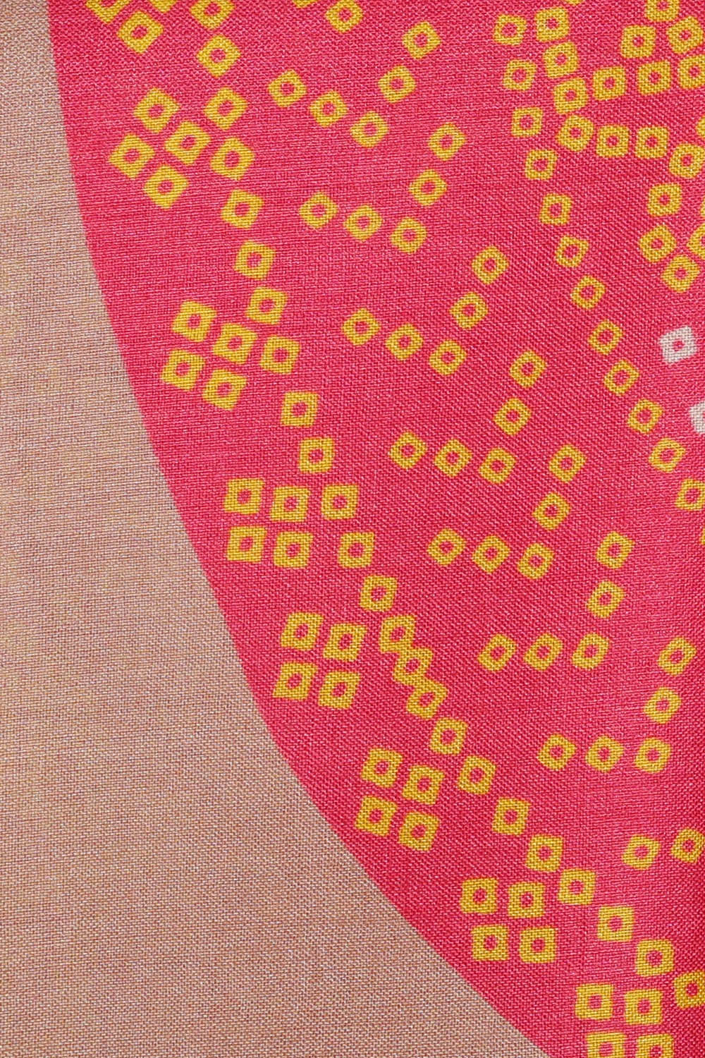 Image of Tussar Silk Beige Saree