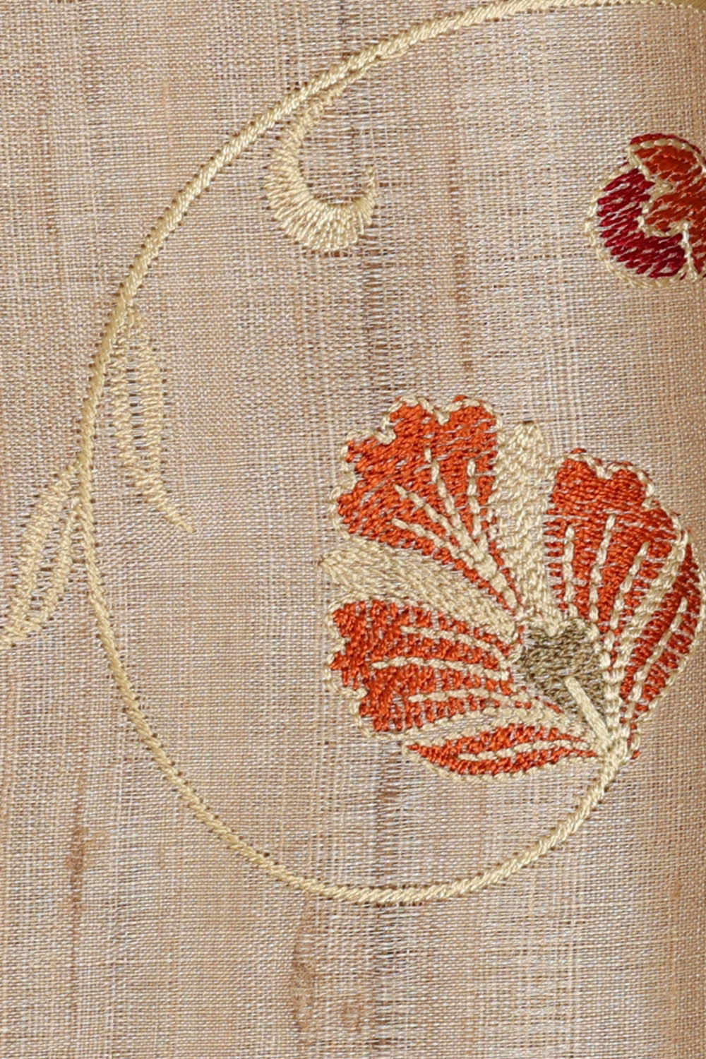 Image of Tussar Silk Ivory Beige Saree