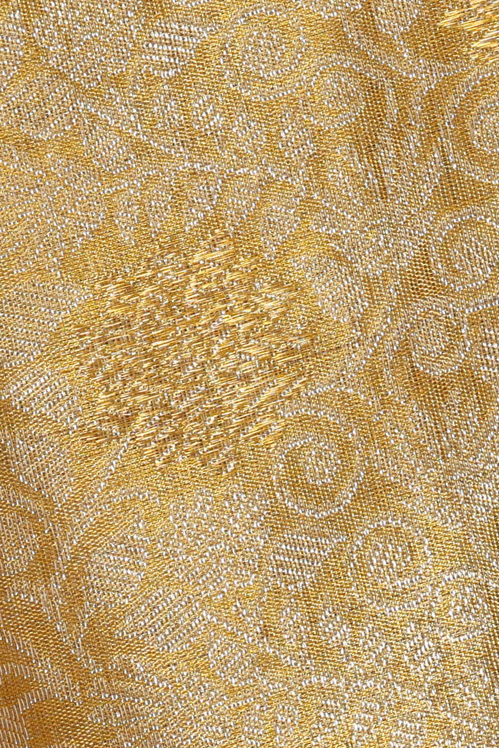 Image of Gold Kanchipattu Tissue Brocade Saree