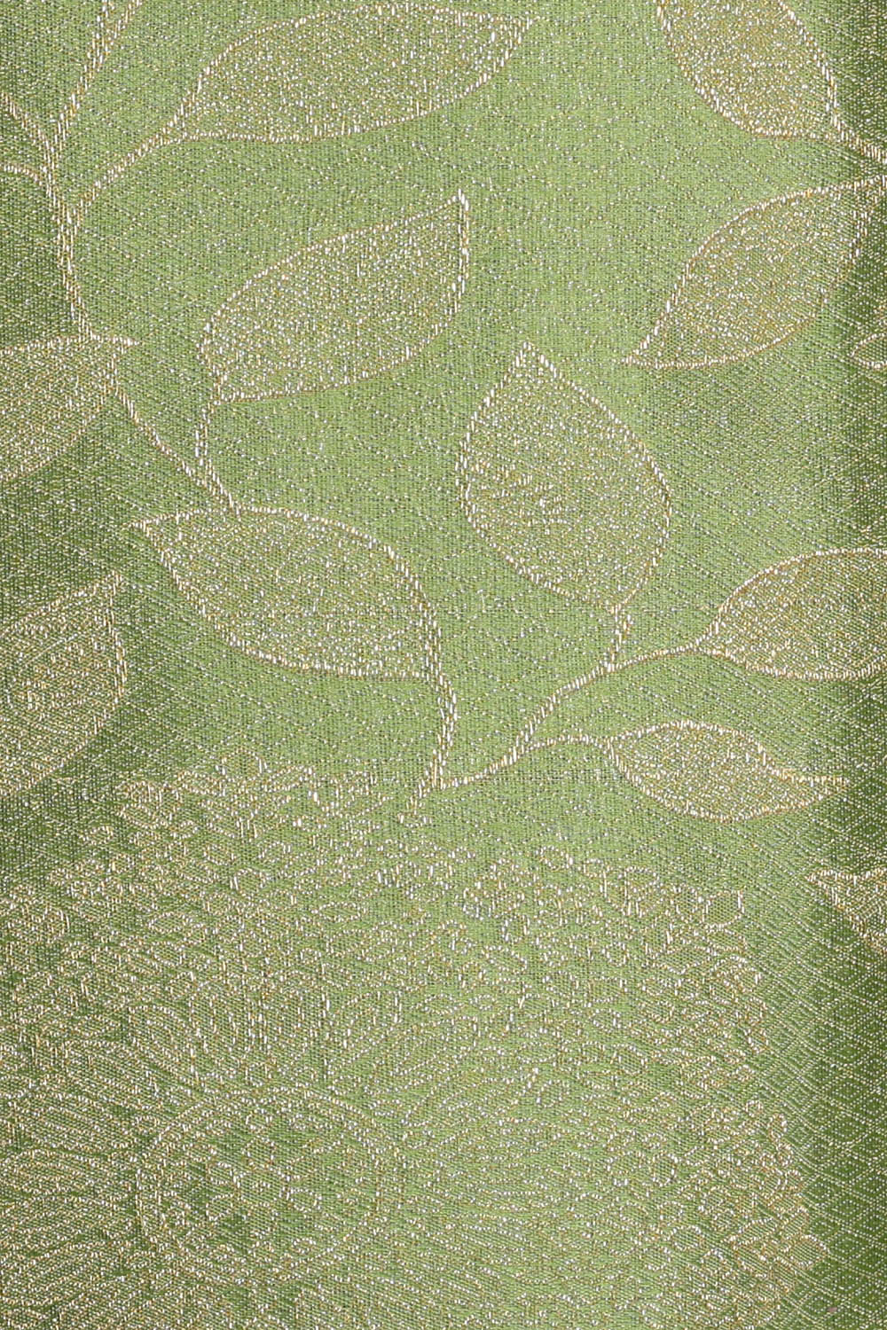 Image of Multi-Coloured Arani Silk Saree
