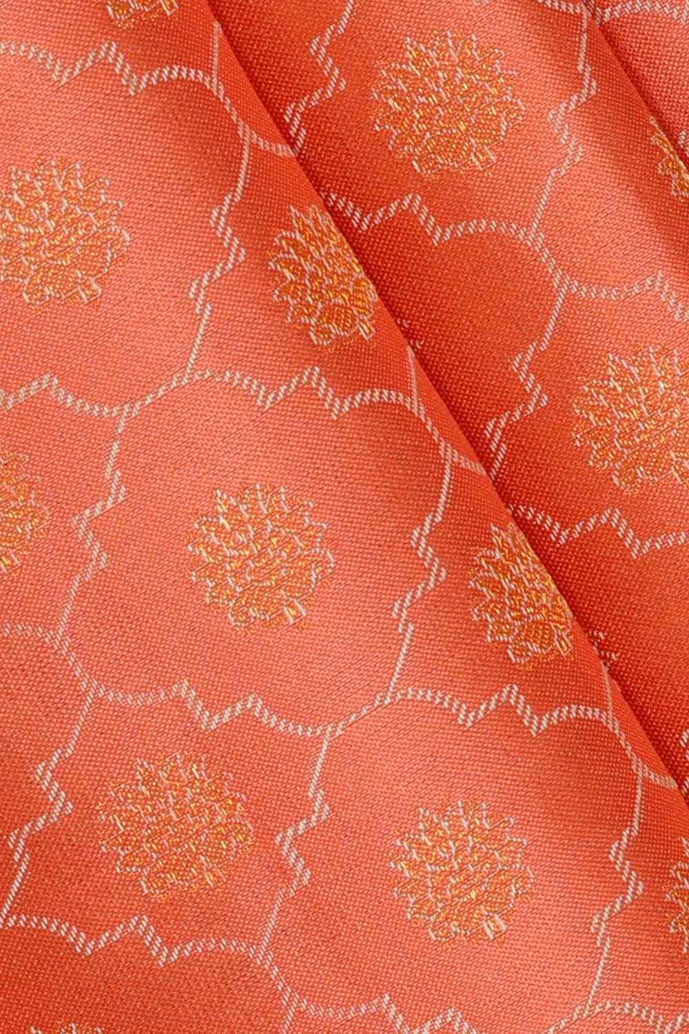 Image of Coral-Orange Arani Silk Saree