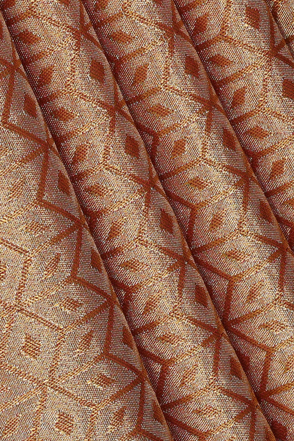Image of Gold Kanchipattu Tissue Brocade Saree