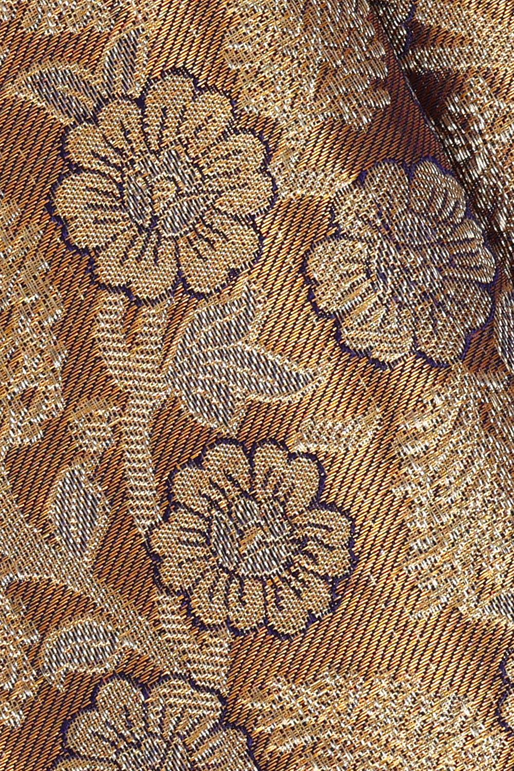 Image of Kanchipattu Gold Tissue Brocade Saree