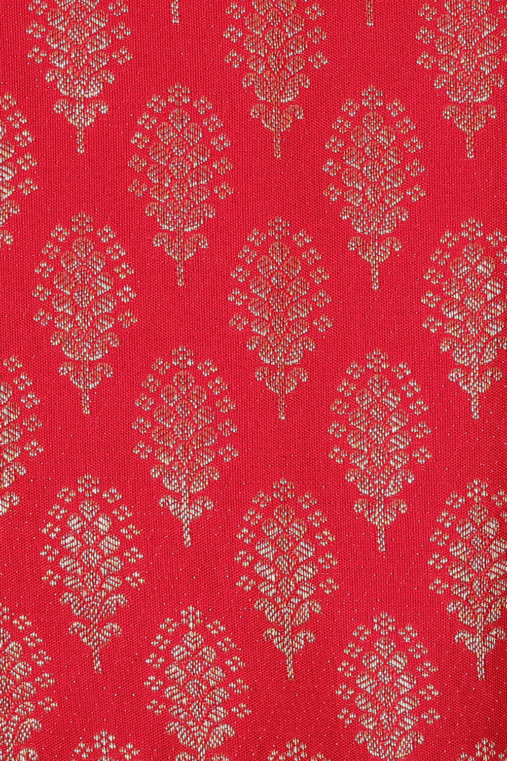 Image of Pink Kanchipattu Tissue Saree