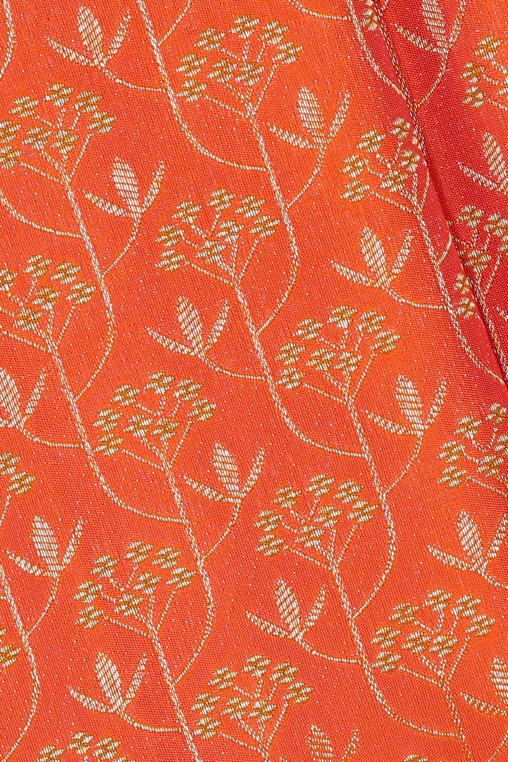 Image of Coral-Orange Kanchipattu Brocade Saree