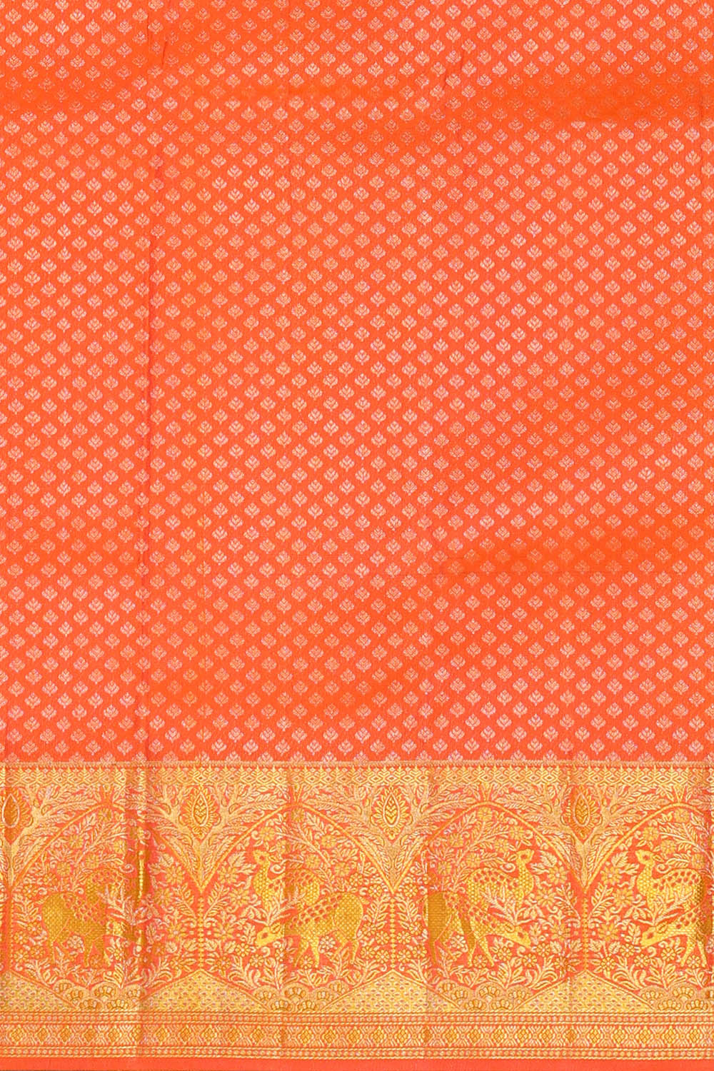 Image of Coral-Orange Kanchipattu Brocade Saree