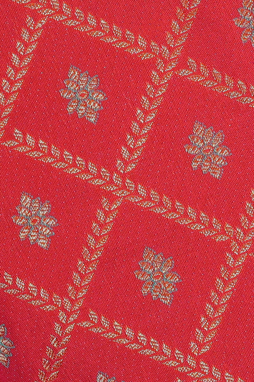 Image of Red Kanchipattu Brocade Saree