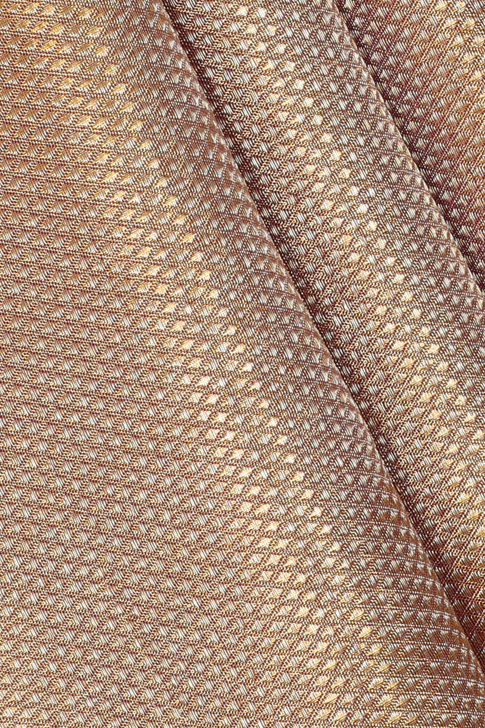 Image of Gold Kanchipattu Tissue Brocade Saree