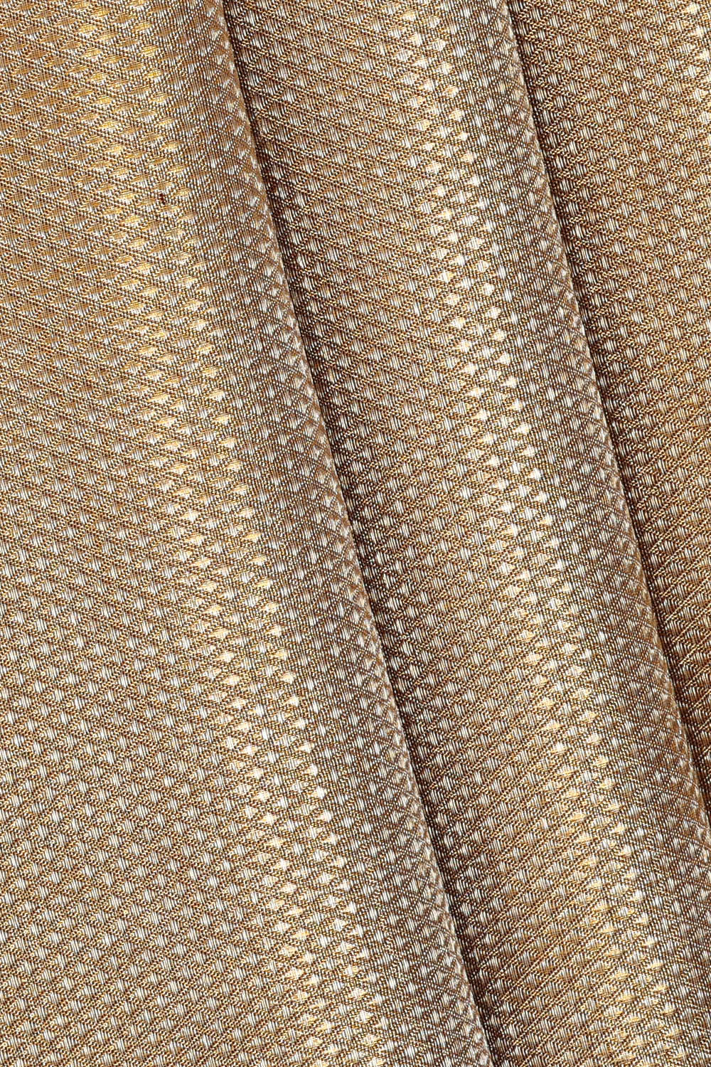 Image of Gold Kanchipattu Tissue Brocade Saree