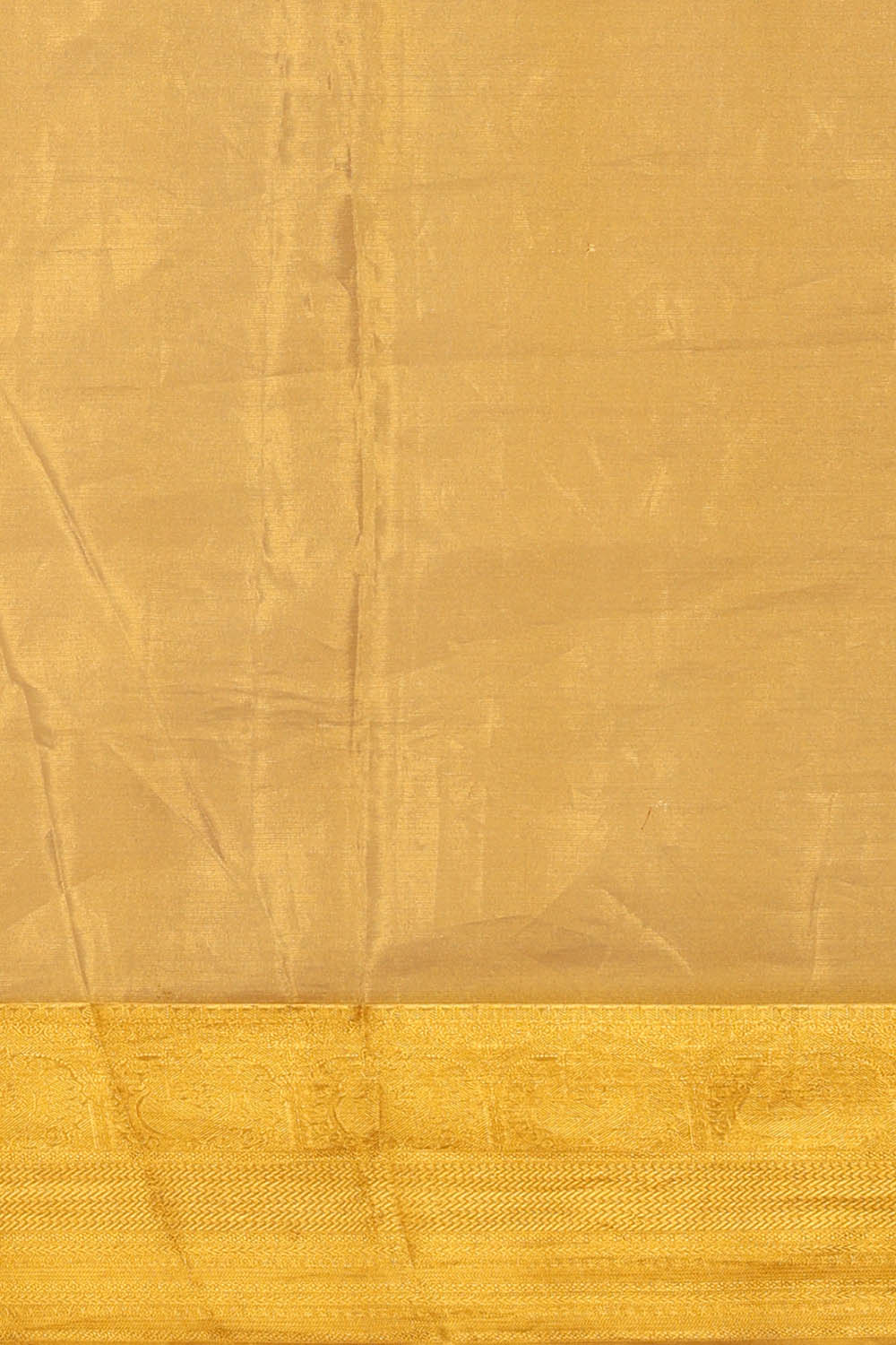 Image of Kanchipattu Gold Tissue Saree