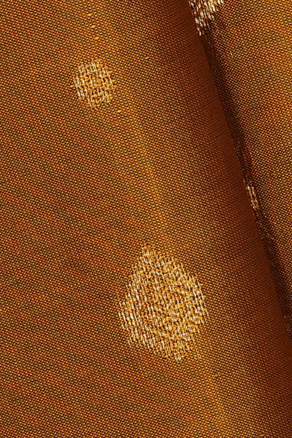 Image of Honey-Mustard South Silk Saree