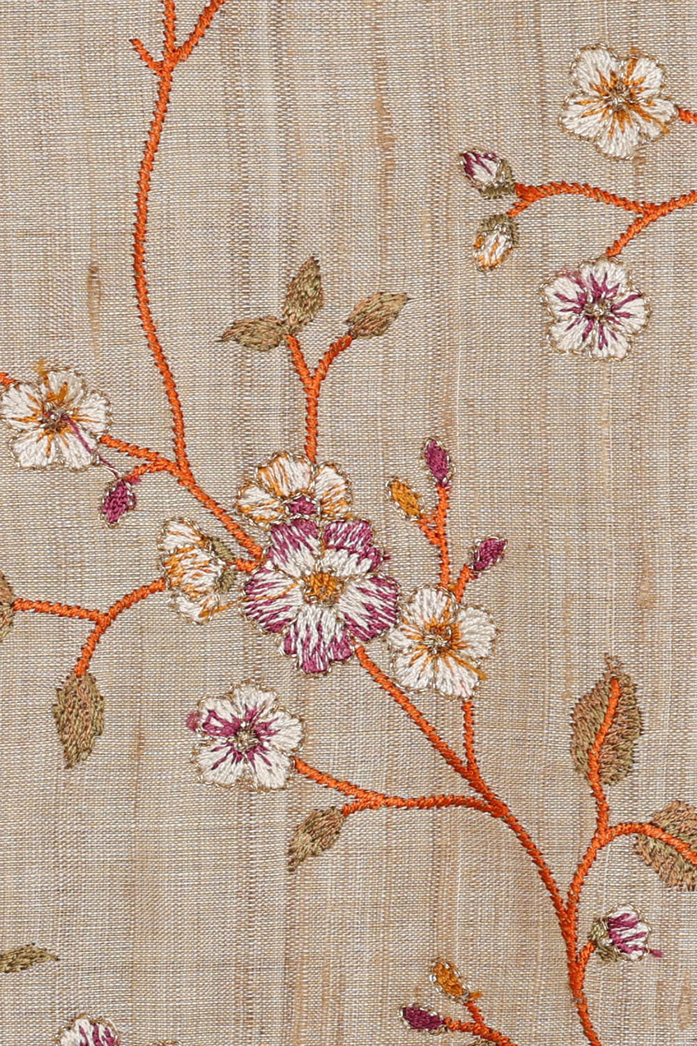 Image of Beige Tussar Silk Saree