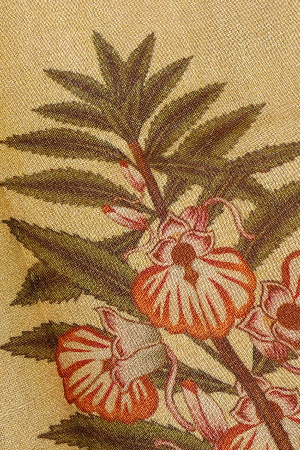 Image of Cream Desi Tussar Silk Saree