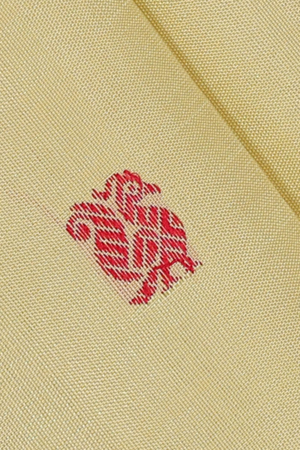 Image of Cream Arani Silk Saree