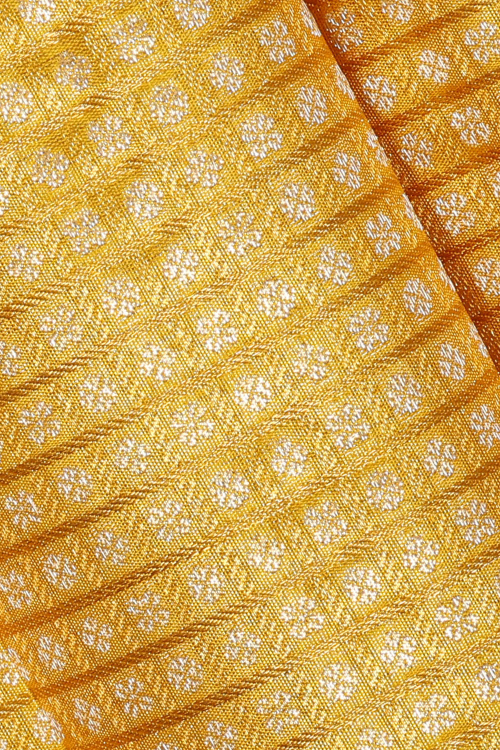 Image of Gold Kanchipattu Tissue Brocade Kattam Saree