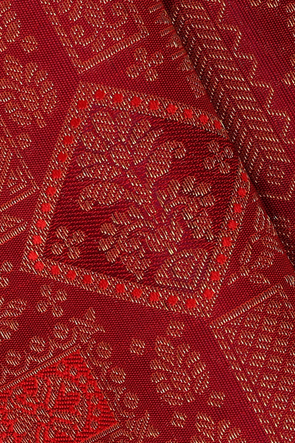 Image of Red Kanchipattu Brocade Saree
