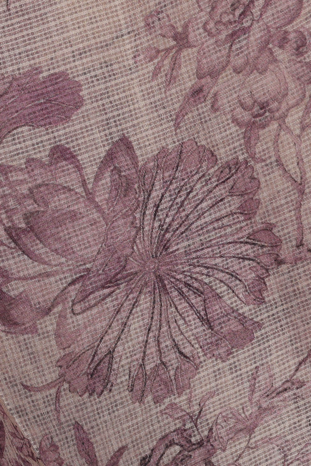 Image of Beige Kota Cotton Saree