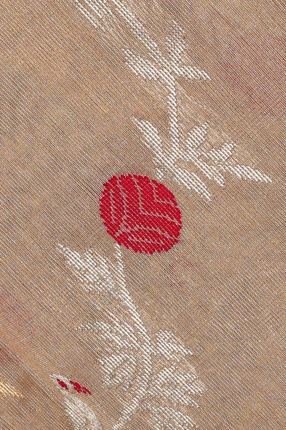 Image of Beige Chanderi Silk Cotton Saree