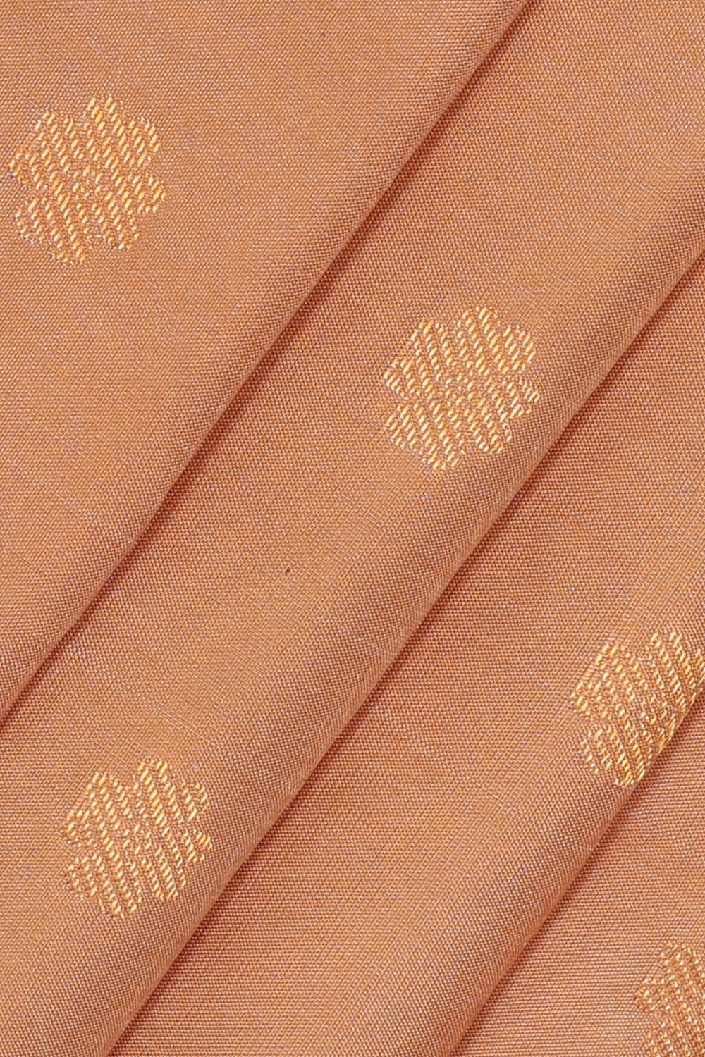 Image of Beige Gadwal Silk Saree
