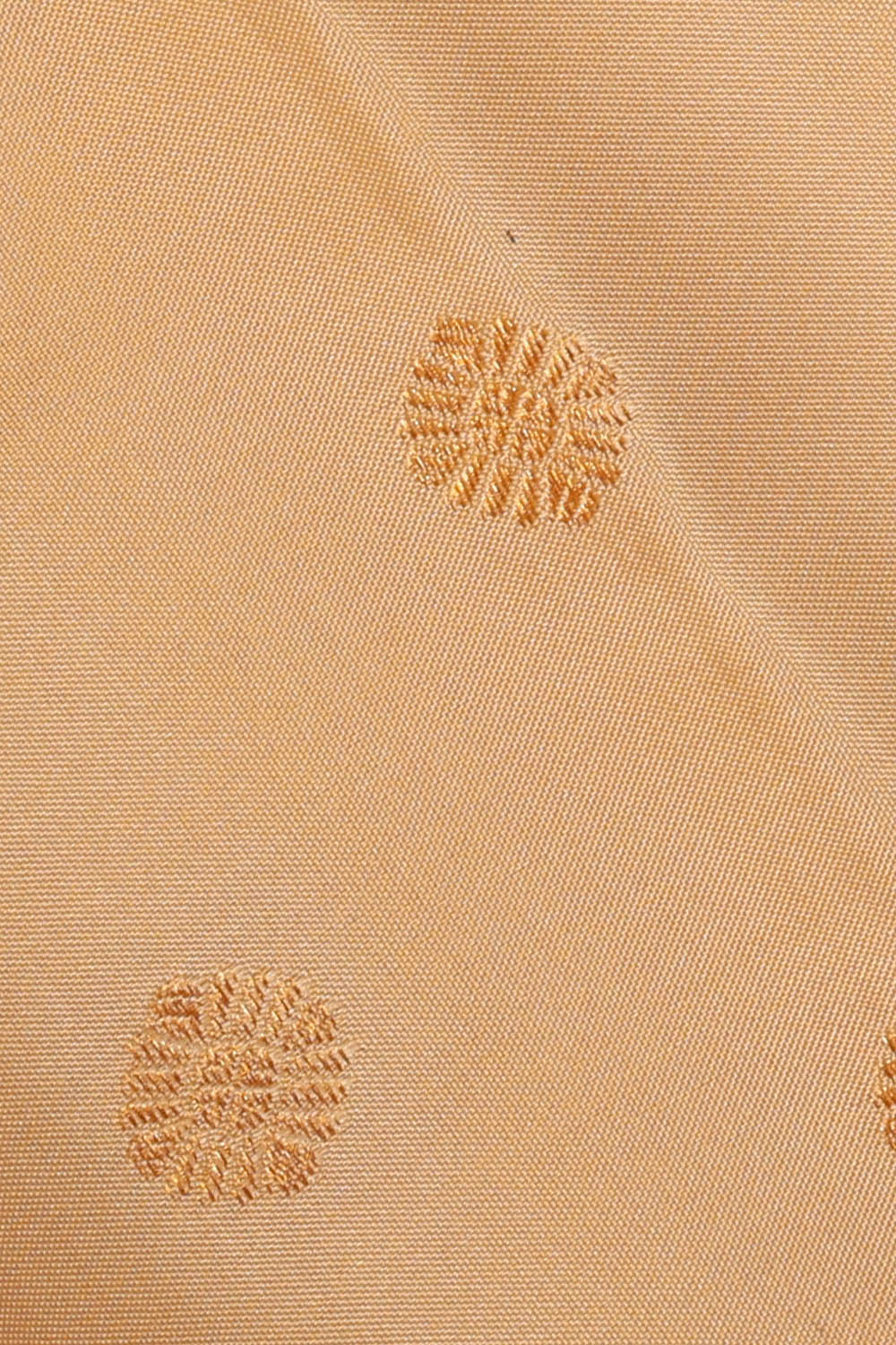 Image of Cream Gadwal Silk Saree