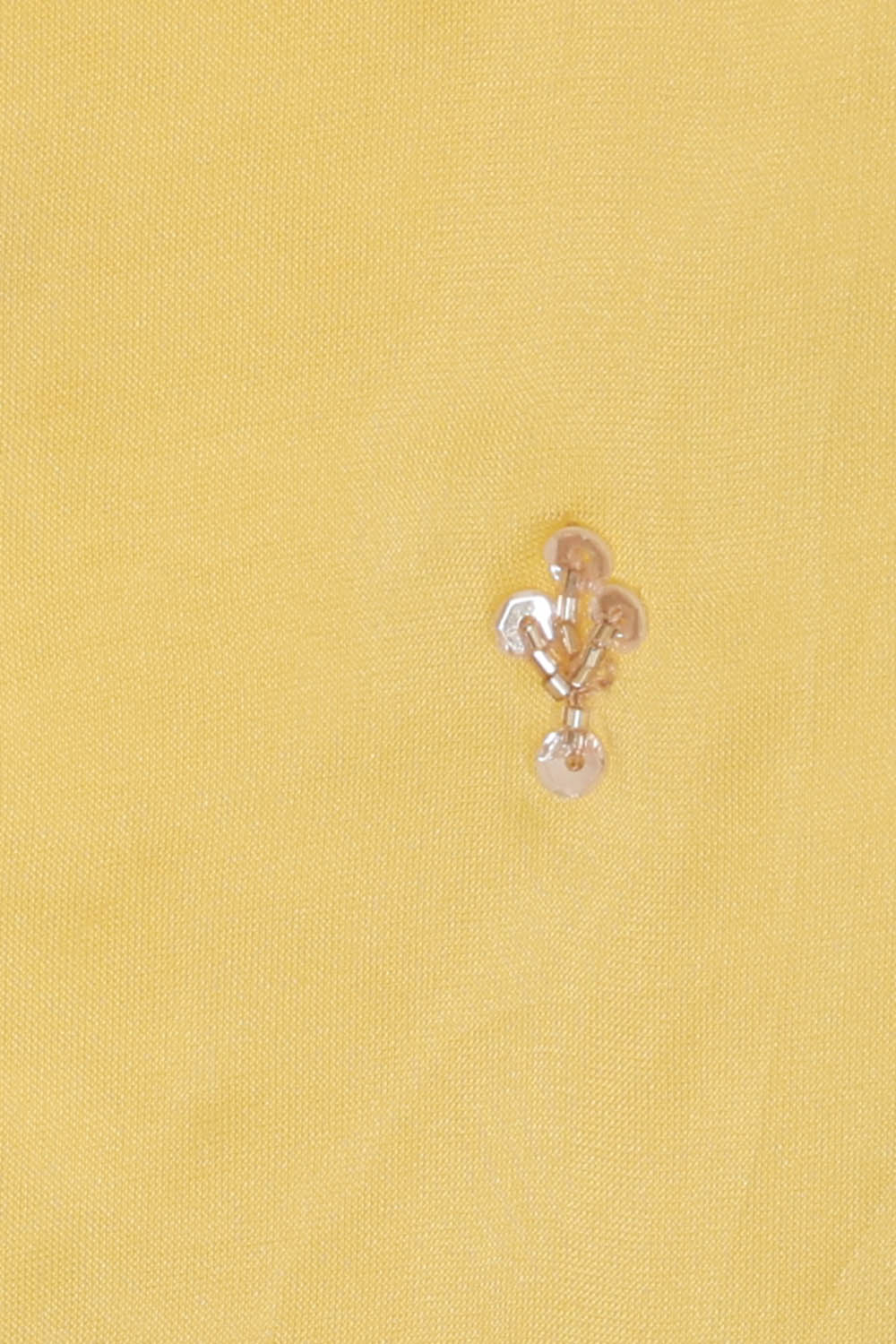 Image of Pale-Cream Embroidery Silk Saree