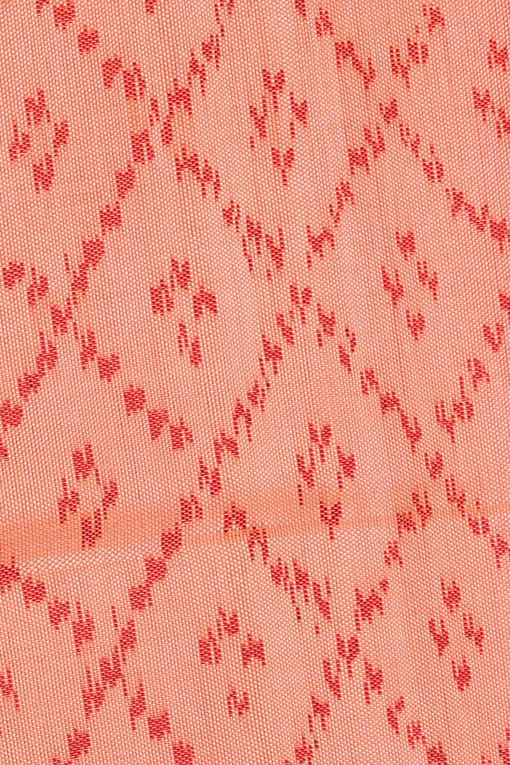 Image of Pastel Peach Rajkot Silk Saree