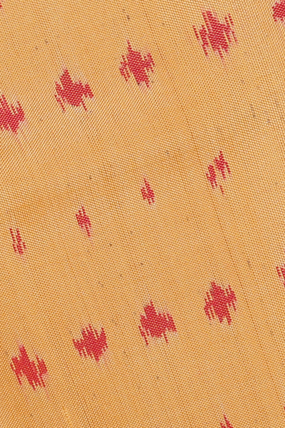 Image of Cream Rajkot Silk Saree