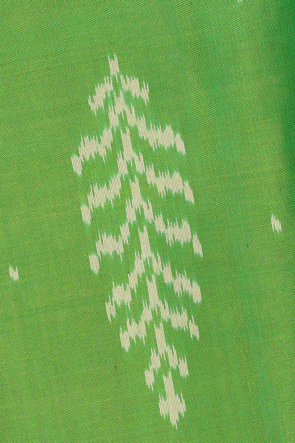Image of Parrot Green Rajkot Silk Saree