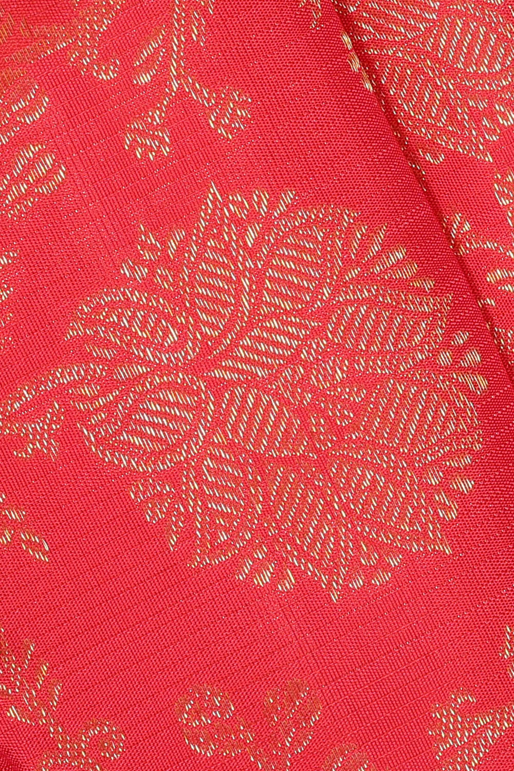 Image of Fuchsia-Pink Kanchipattu Brocade Saree