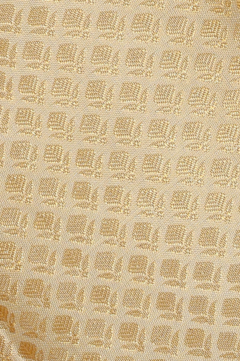 Image of Kanchipattu Cream Brocade Saree