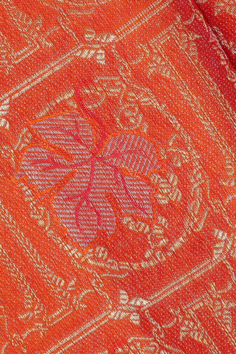 Image of Orange Kanchipattu Brocade Saree