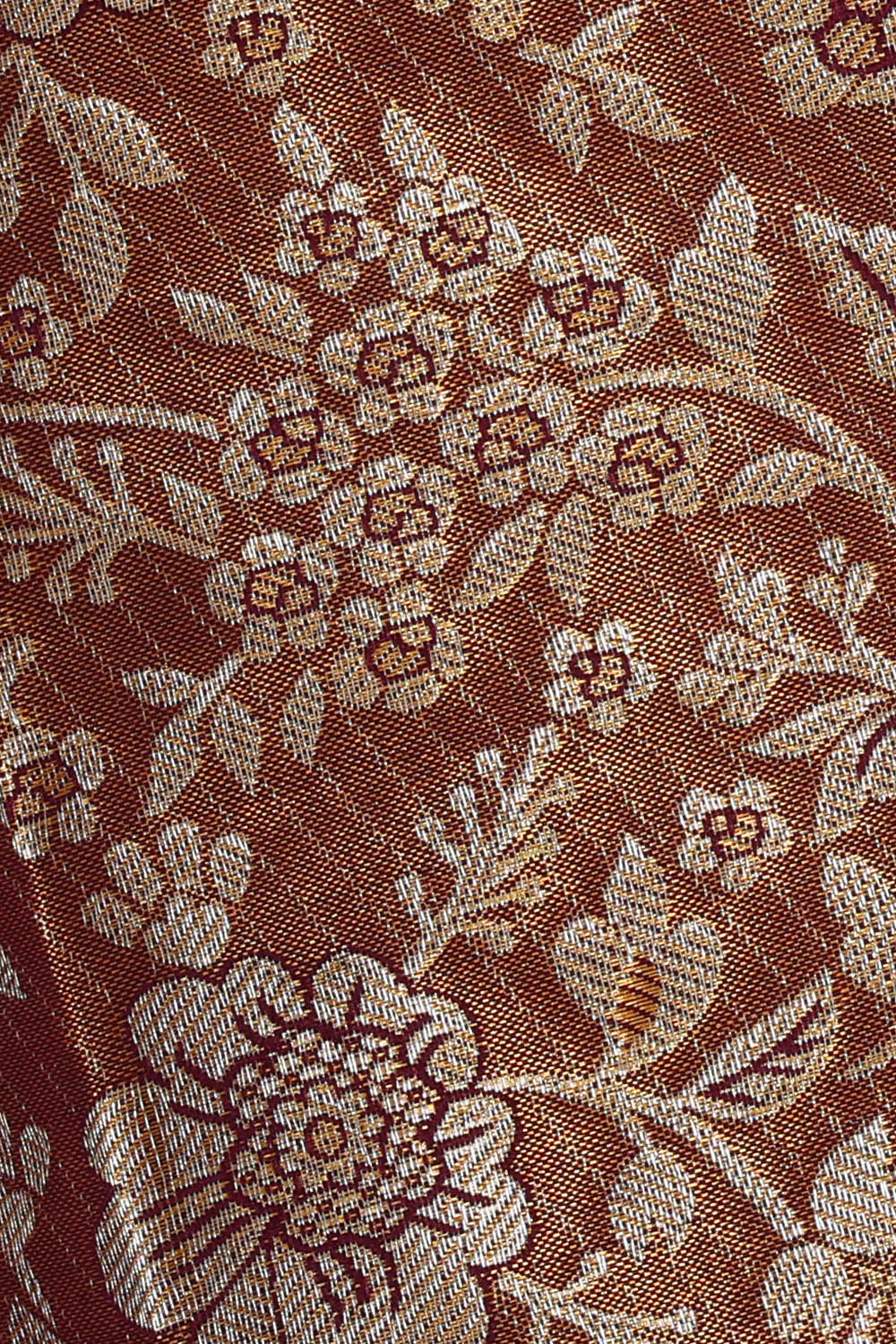 Image of Brown Kanchipattu Tissue Brocade Saree