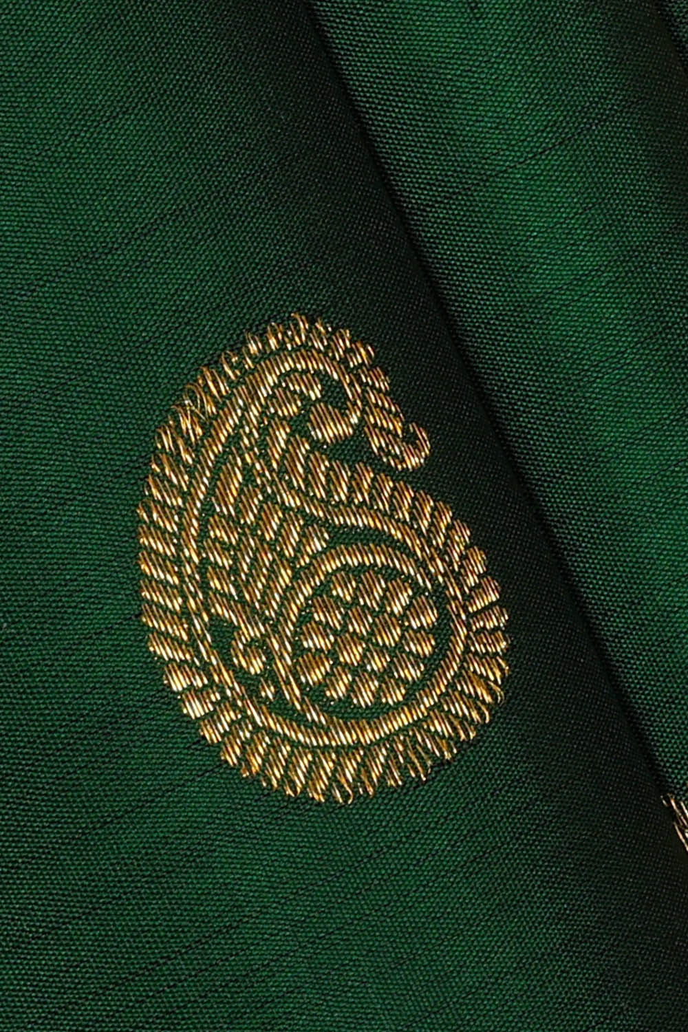 Image of Kanchipattu Green Saree