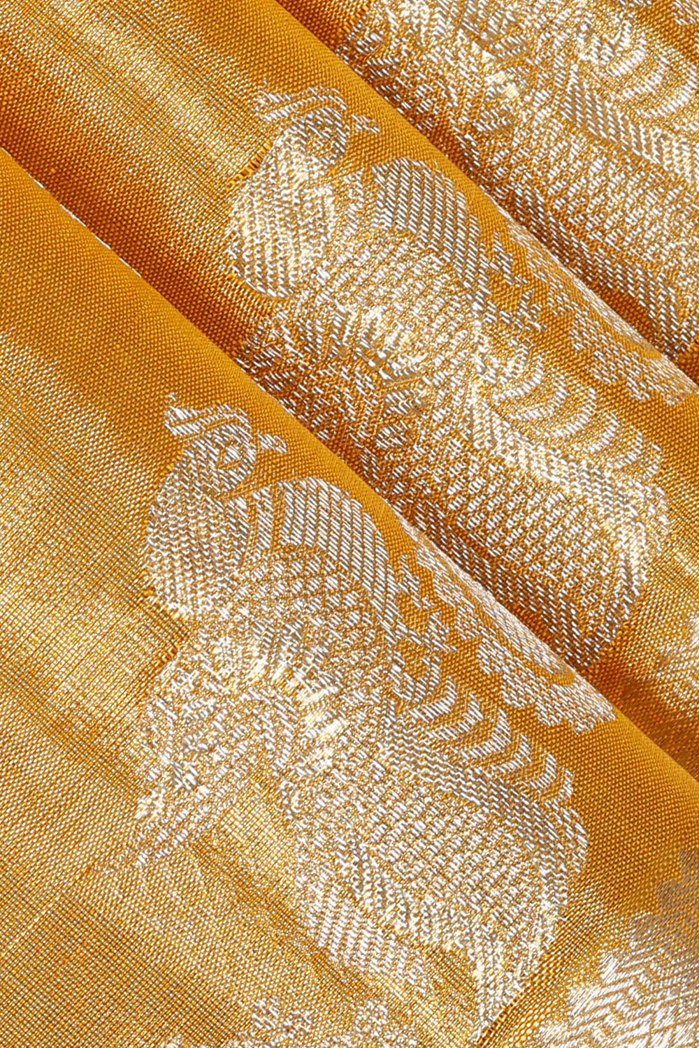 Image of Kanchipattu Gold Tissue Saree
