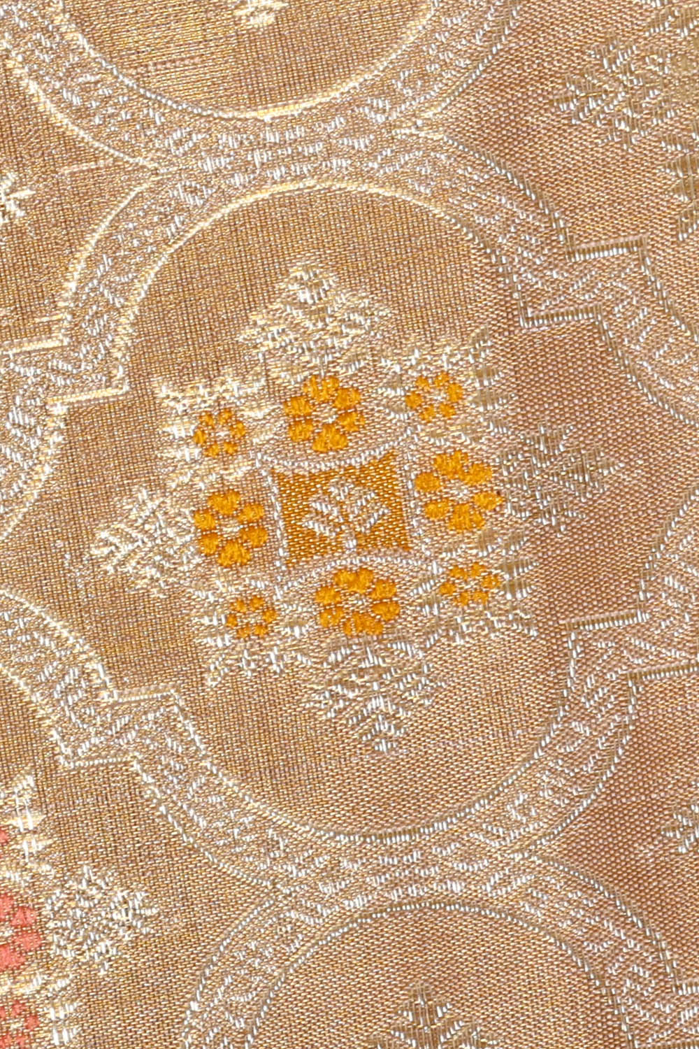 Image of Gold Kanchipattu Tissue Brocade Saree