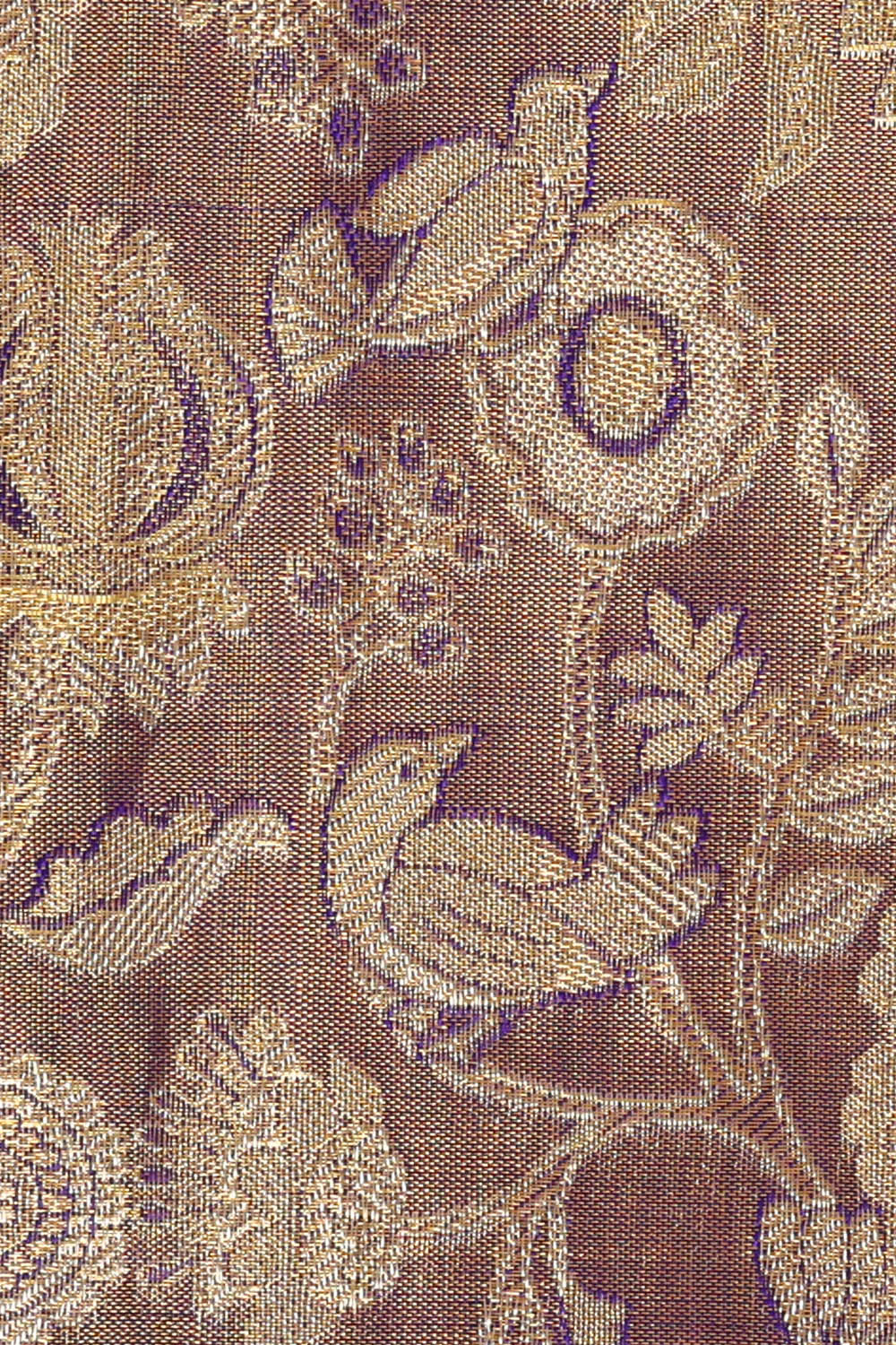 Image of Kanchipattu Purple Tissue Brocade Saree