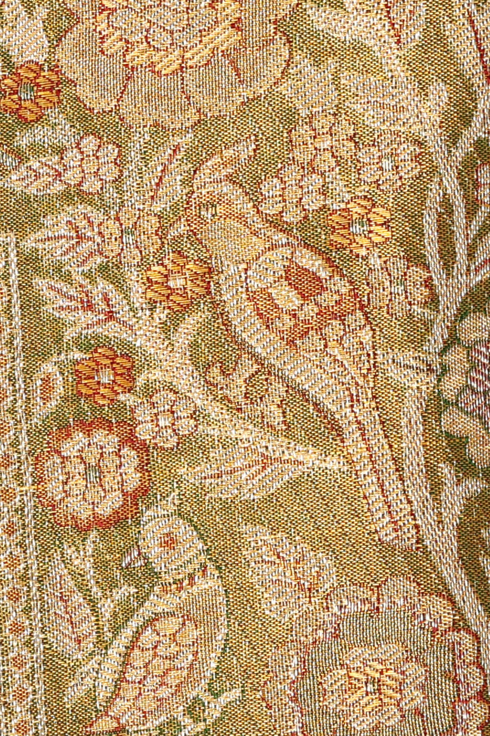 Image of Kanchipattu Green Tissue Brocade Saree