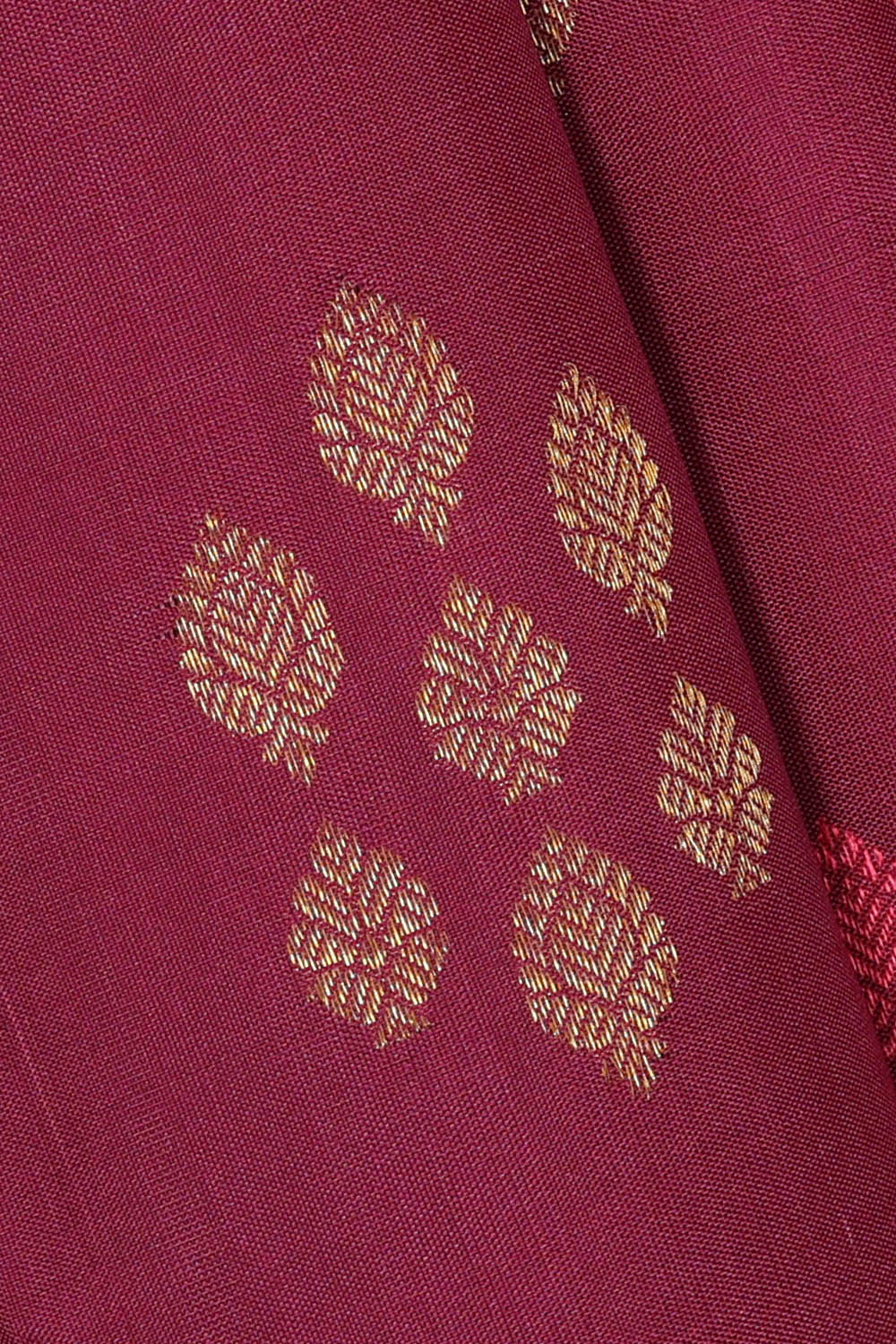 Image of Kanchipattu Purple Saree