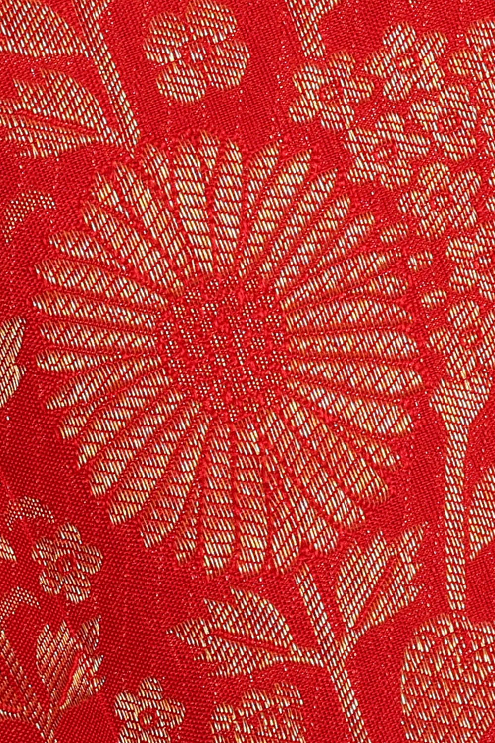 Image of Kanchipattu Red Brocade Saree