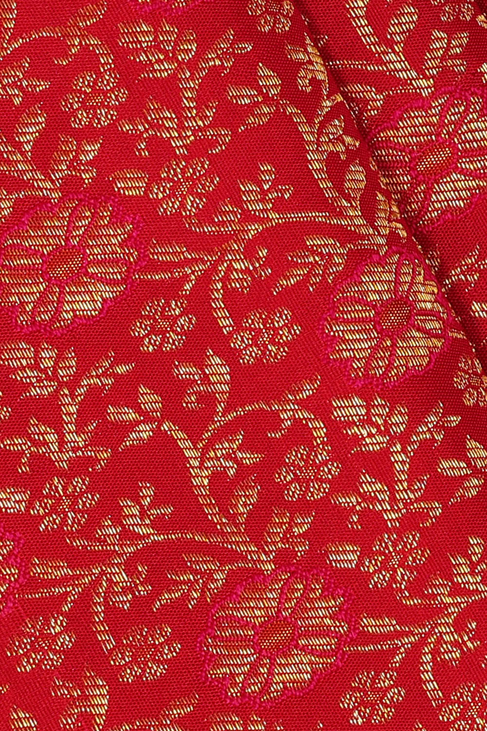 Image of Kanchipattu Red Brocade Saree