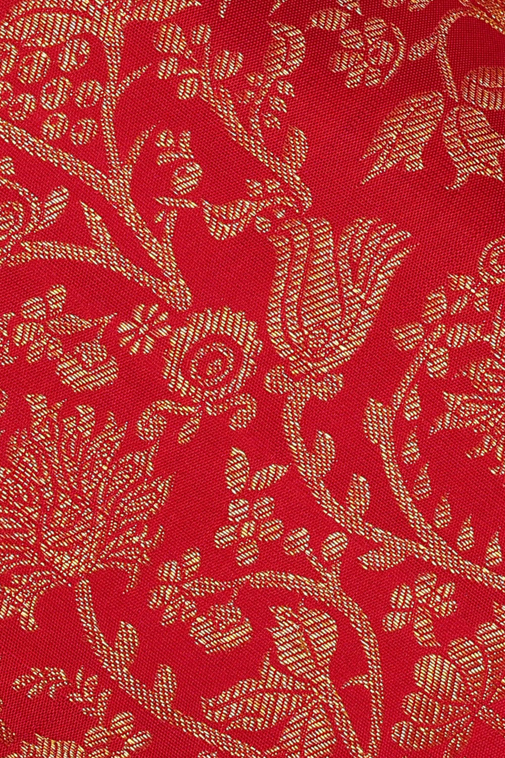 Image of Kanchipattu Red Brocade Saree