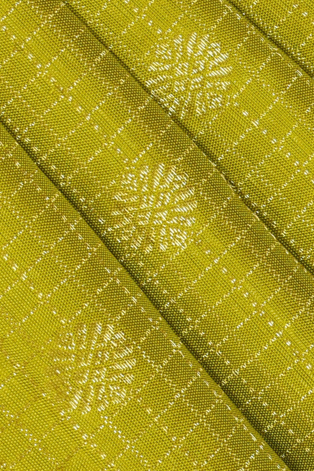 Image of Kanchipattu Spring-Green Kattam Saree