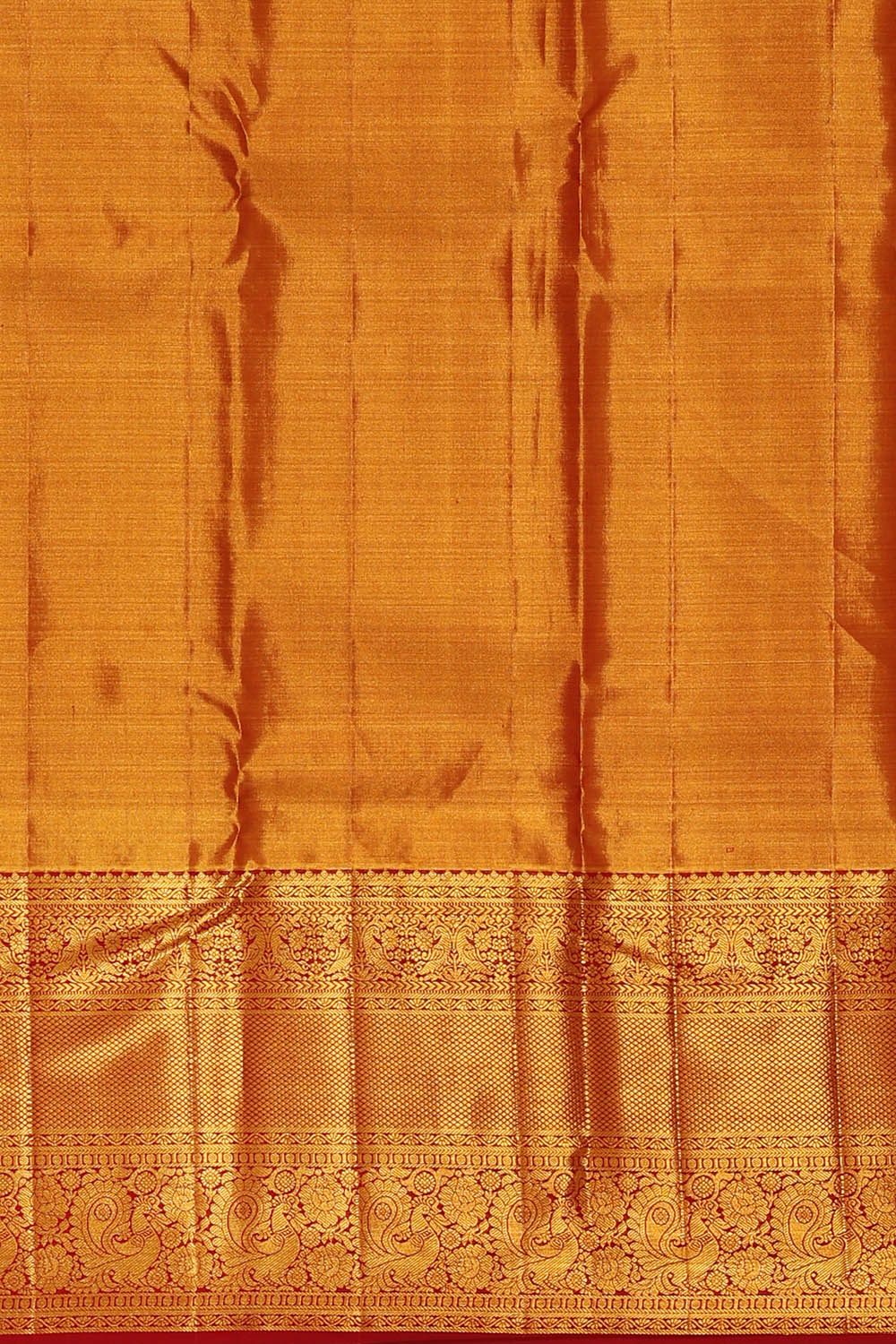 Image of Kanchipattu Multi-Coloured Tissue Brocade Saree