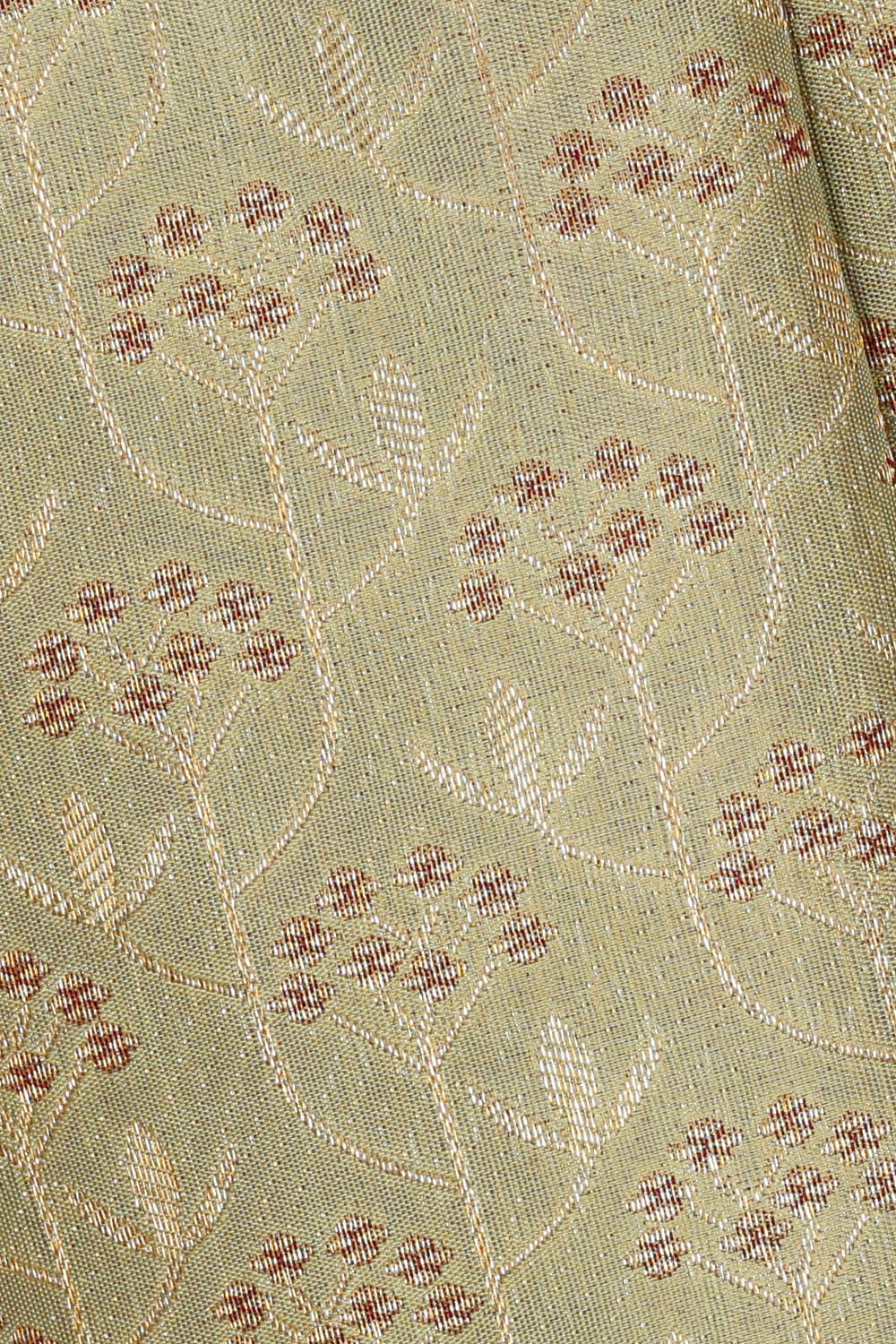Image of Pastel Green Kanchipattu Brocade Saree