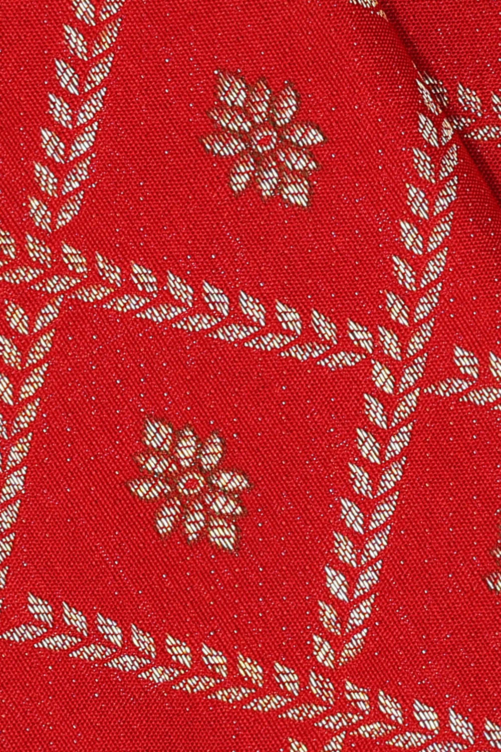 Image of Red Kanchipattu Brocade Saree